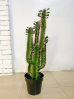 Quality Artificial Cactus Plants