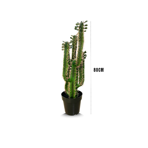 Quality Artificial Cactus Plants