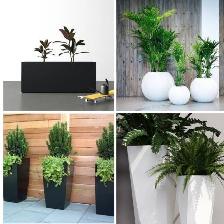 fiberglass planters vs. traditional pots: which is right for you?