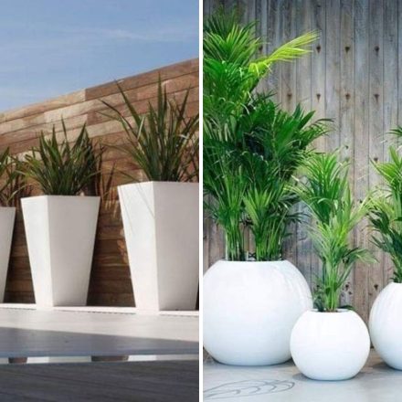 fiberglass planters vs. traditional pots: which is right for you?