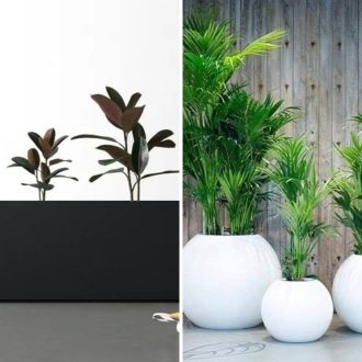 fiberglass planters vs. traditional pots: which is right for you?