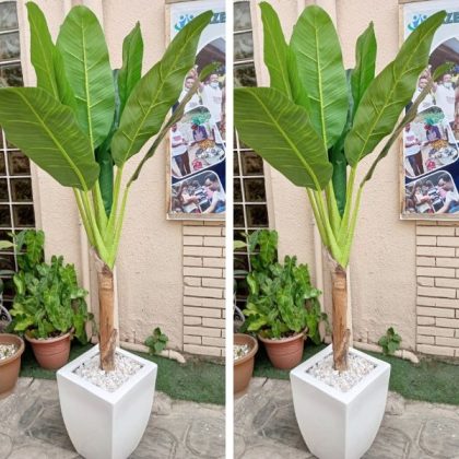 Artificial Banana Tree Potted With Belly Vase fiberglass