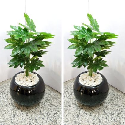 Artificial Japan Fatsia Plant Potted with Ball Ring Fiberglass Vase