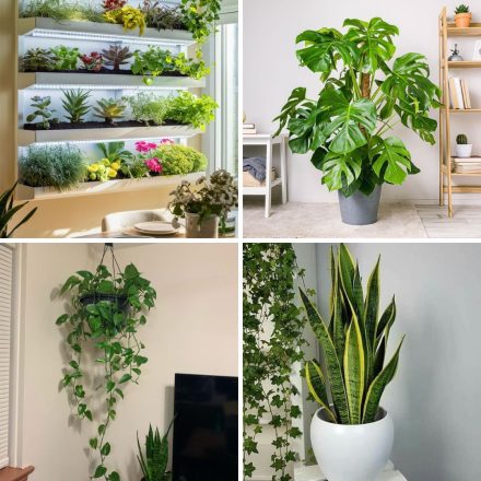 Apartment Decor Made Easy: The 5 Best Artificial Plants