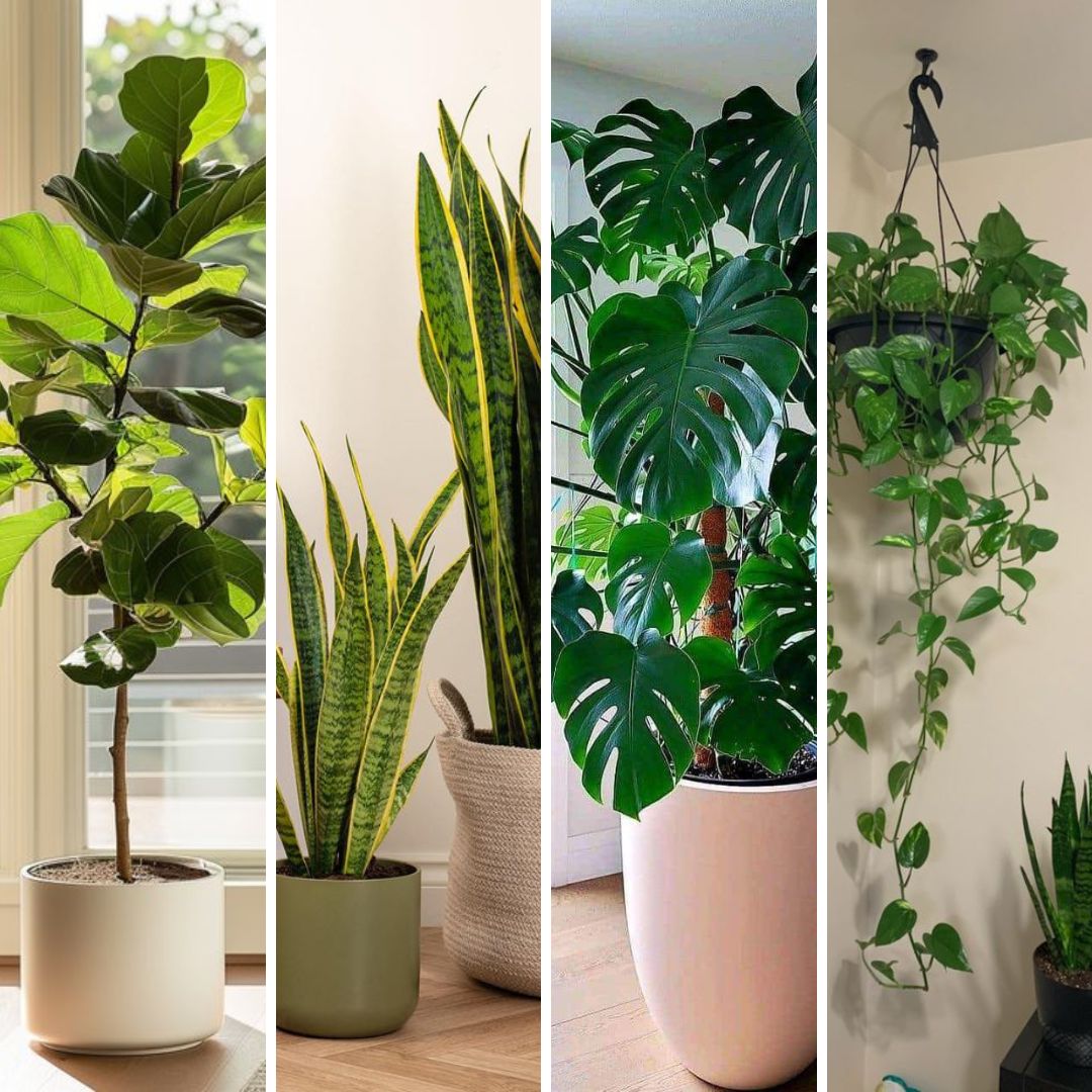 Apartment Decor Made Easy: The 5 Best Artificial Plants