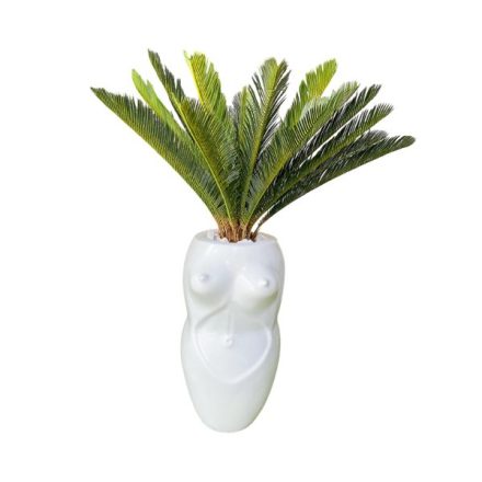 The Perfect Pairing: Plants and the Stylish Sisi Vase Planter