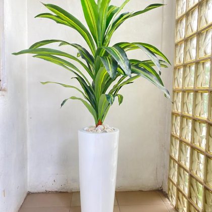 Cone Fiberglass Vase Potted With Artificial Dracaena Plant