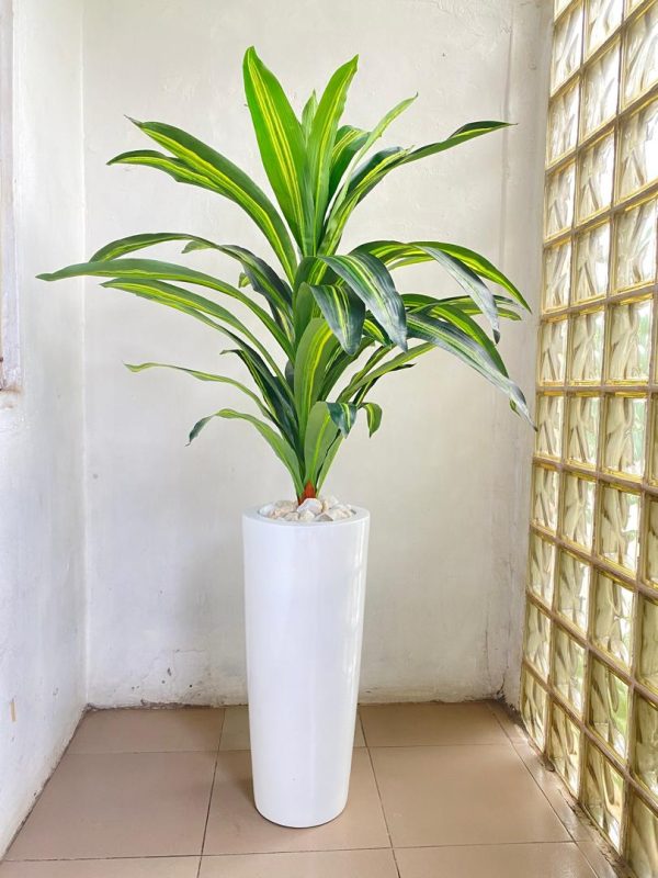 Cone Fiberglass Vase Potted With Artificial Dracaena Plant