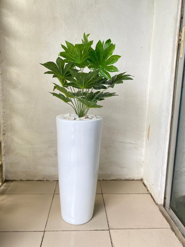 Cone Fiberglass vase Potted with Artificial Japan Fatsia Plant | Height:130cm