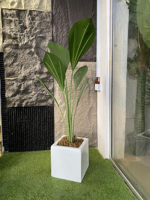 Enhance your space with the Artificial Fan Palm Potted in a modern square fiberglass vase.