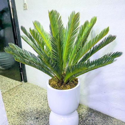 Tumbler Fiberglass Vase Potted With Artificial Cycas Palm