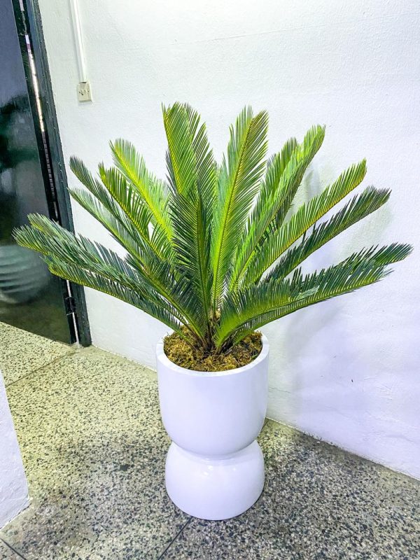 Tumbler Fiberglass Vase Potted With Artificial Cycas Palm