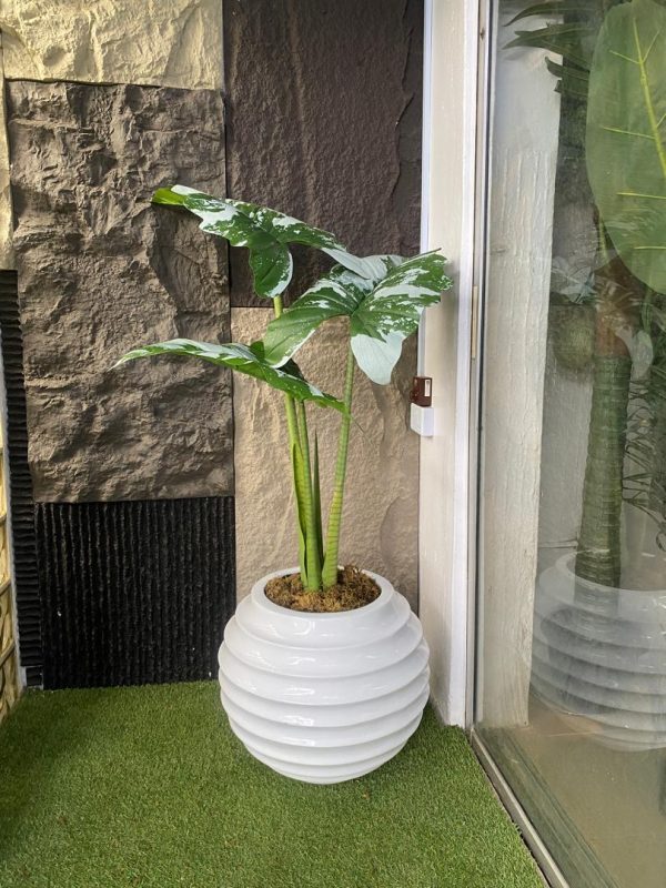 Ball Ring Fiberglass Vase Potted with Artificial Alocasia Cucullata Tree