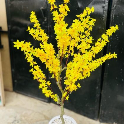 Artificial Primrose Tree Potted with Classic Fiberglass Vase