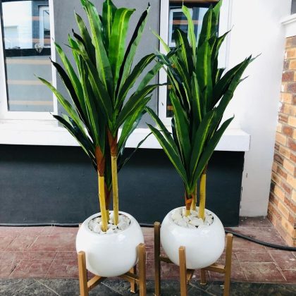 Artificial Dracaena Plant Potted With Round Ball Fiberglass Vase