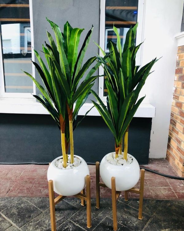 Artificial Dracaena Plant Potted With Round Ball Fiberglass Vase