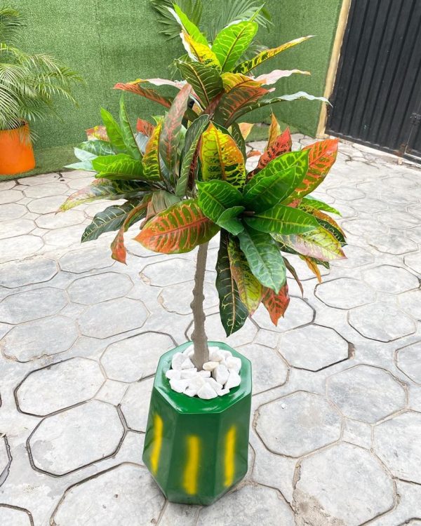 Payah Fiberglass Vase Potted With Artificial Banyan Tree