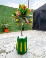 Payah Fiberglass Vase Potted With Artificial Banyan Tree