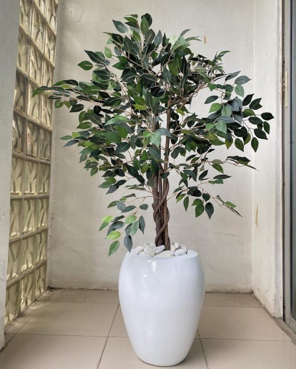 Artificial Ficus Tree Potted With Apple Fiberglass Vase