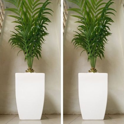 Belly Fiberglass Vase Potted With Artificial Kentia Palm