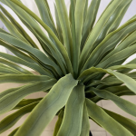 Artificial Mini Yucca Plant | Nigeria No1 Plants/Flowers Wholesaler