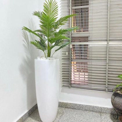 Palm plant potted with 120cm slim cylinder vase