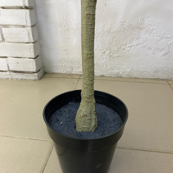 Artificial Ficus Plant Tree | Nigeria Warehouse For Plants/Trees