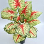 Artificial Mini Potted Plant For Interior Home Decoration - 70cm