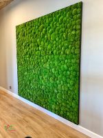 Artificial Decorative Moss Wall Panel (50cm x 50cm)