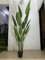 Artificial Skybird Plants - Height: 170cm And 190cm