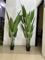 Artificial Skybird Plants - Height: 170cm And 190cm