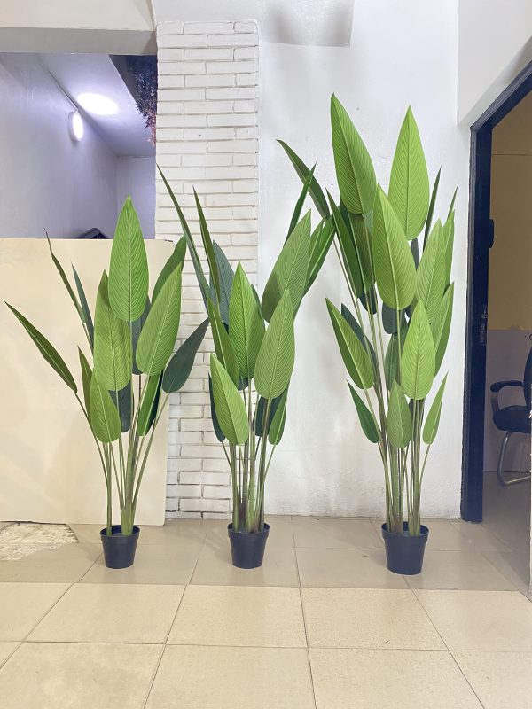 Artificial Skybird Plants - Height: 170cm And 190cm