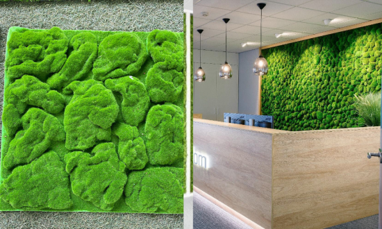 How Artificial Moss Can Transform Your Home & Office Aesthetic