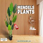 Artificial Traveler Banana Plant – Height:200cm