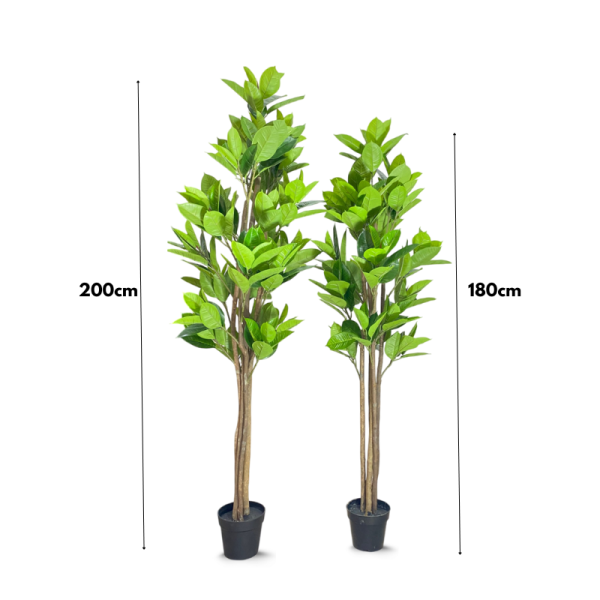 Ultra-Realistic Artificial Fiddle Tree Plant - H' 180CM And 200CM