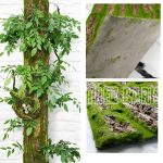 Artificial Fake Tree Bark Wall Mats Moss | Artificial Plants/Trees Bark Moss