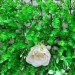 Artificial Boxwood Plants 60x40cm - Image 2