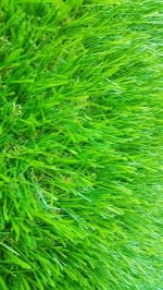 35mm Artificial Grass For Outdoor Design - Image 2