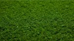 50mm Green Landscape  artificial grass - Image 2