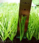 50mm football Artificial Grass| Per Sqm