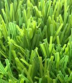 50mm football Artificial Grass| Per Sqm - Image 3