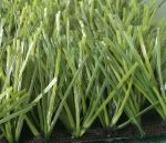 50mm football Artificial Grass| Per Sqm - Image 2