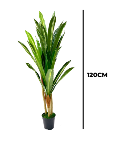 INTERIOR ARTIFICIAL PLANT | BUY THREE STEMS DRACAENA PLANT
