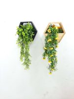 Wall Hanging Plants - For wall decor - Image 2