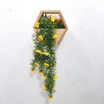 Wall Hanging Plants - For wall decor - Image 3
