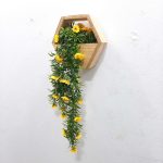 Wall Hanging Plants - For wall decor