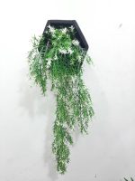 Hanging Plant for wall decor - Image 6
