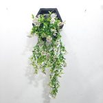 Hanging Plant for wall decor - Image 3