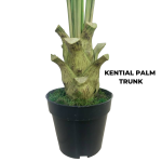 Artificial Kentia Palm Tree Plant - 150cm