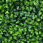 60cm x 40cm Boxwood Artificial Wall Plant - Image 8